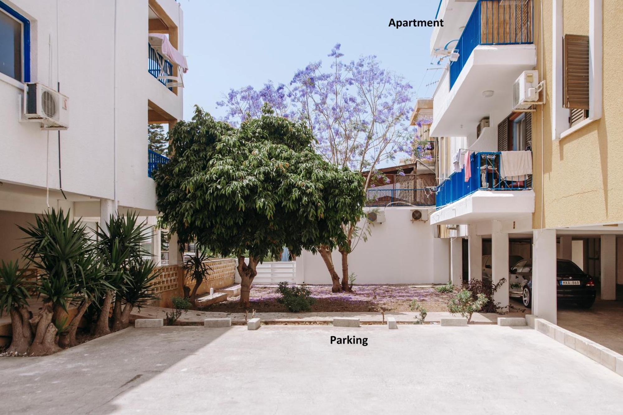 Viking Family Superior Lux Lägenhet Ayia Napa Exteriör bild